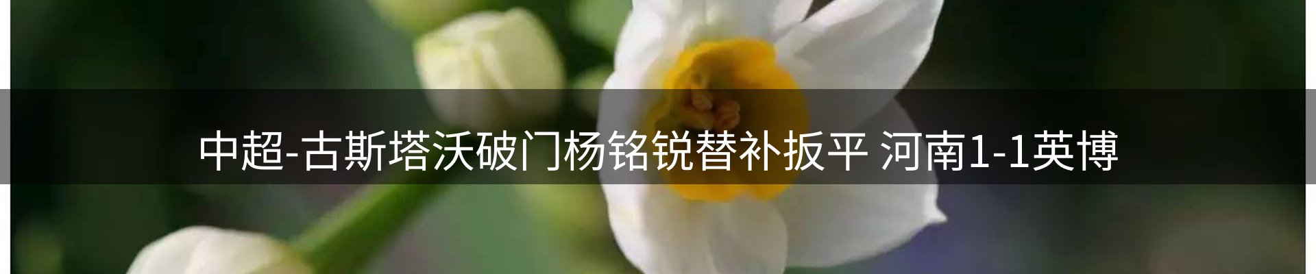 赛事资讯