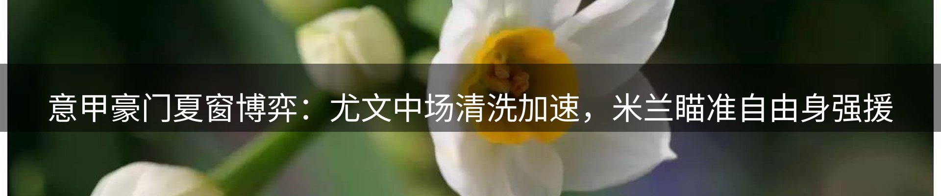 赛事资讯