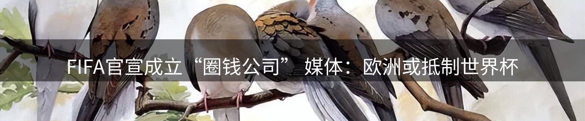 赛事资讯